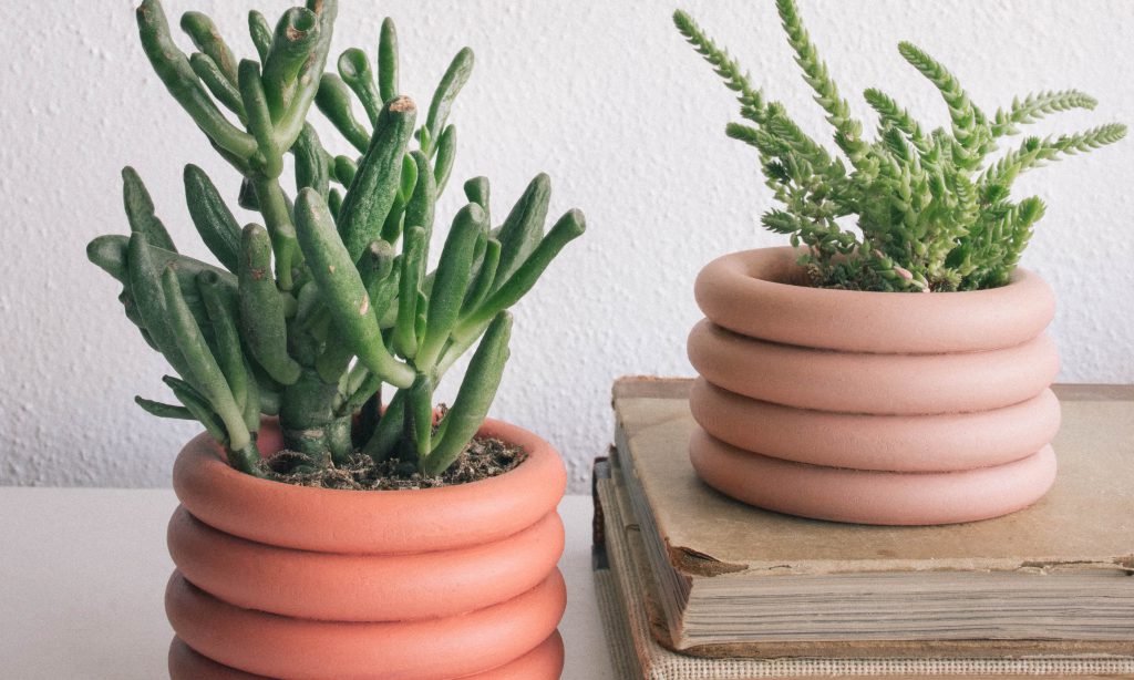 DIY Stacked Planters Are Perfect WFH Desk Accessories