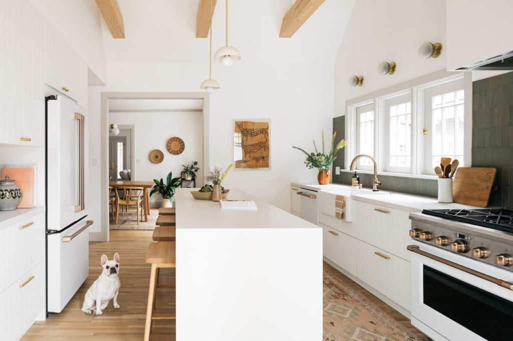 bright open kitchen with a dog in the foreground.
